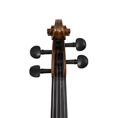 ANTON BRUCKNER V.MAESTRO EV-2 Keman
